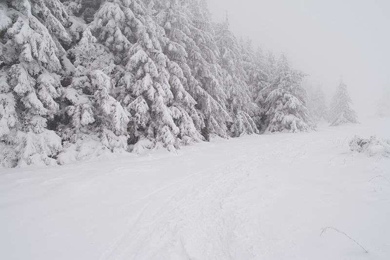 08 - Entre Hautes-Chaumes et route des crêtes.jpg